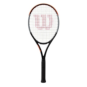 Burn 100LS V4.0